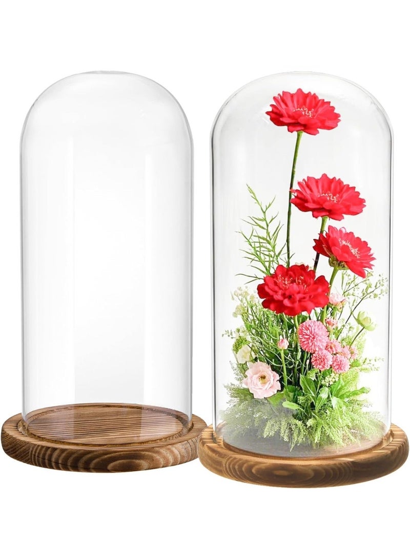 Glass Vases with Upside Down Dome with Wooden Base, Natural Home Decor, Set of 2 - Image 3